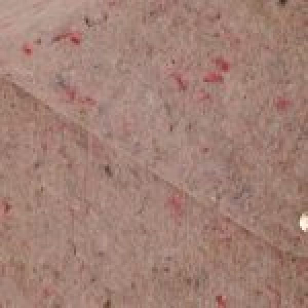 2324_PID4_Cherchi-Petar-5-150x150